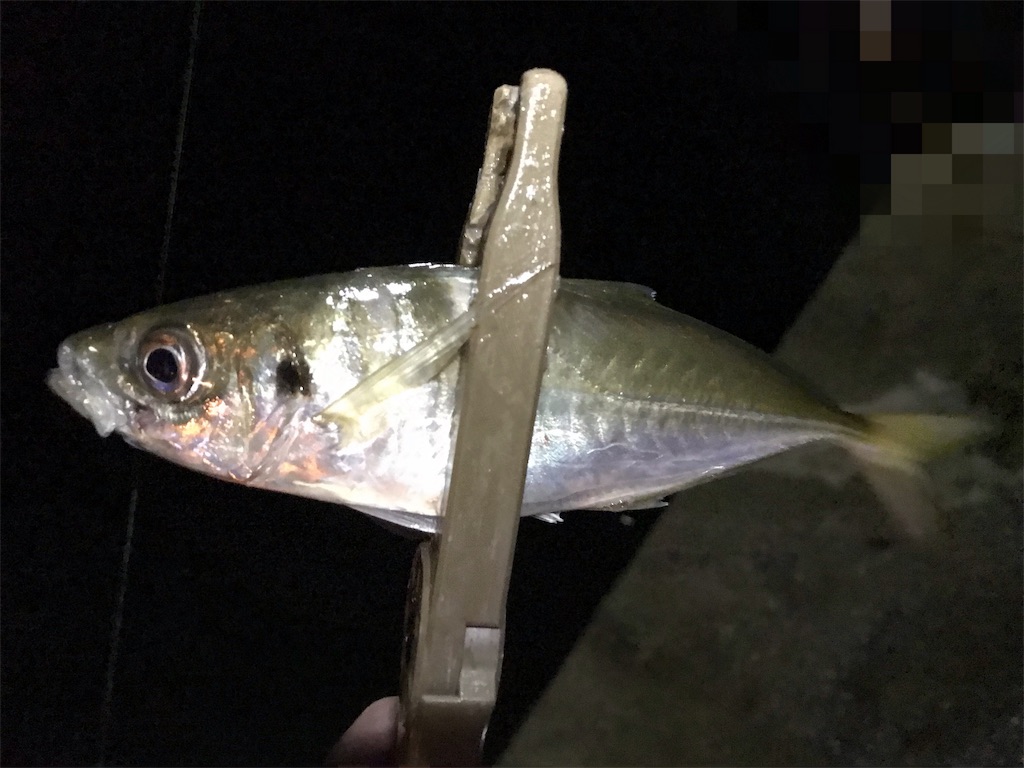 f:id:esojima3:20190921075218j:image