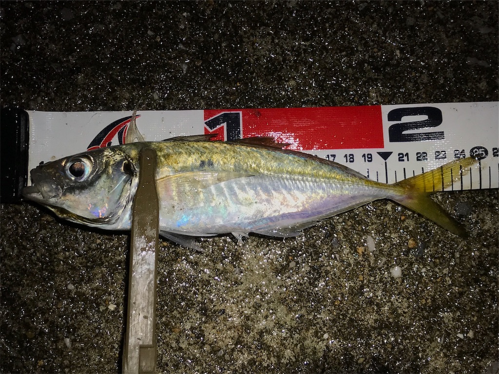 f:id:esojima3:20190921075221j:image