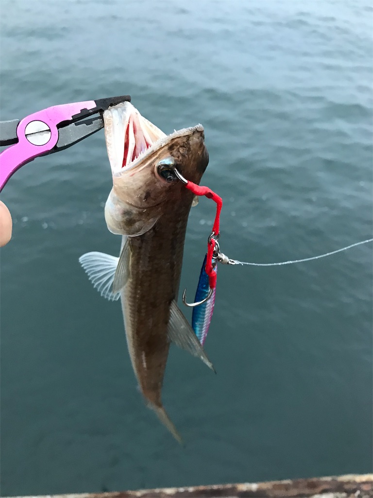 f:id:esojima3:20190921081756j:image
