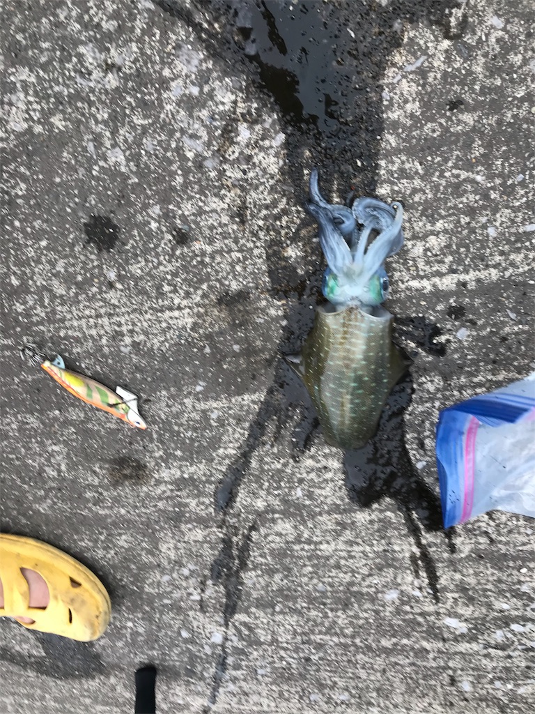 f:id:esojima3:20190921171926j:image