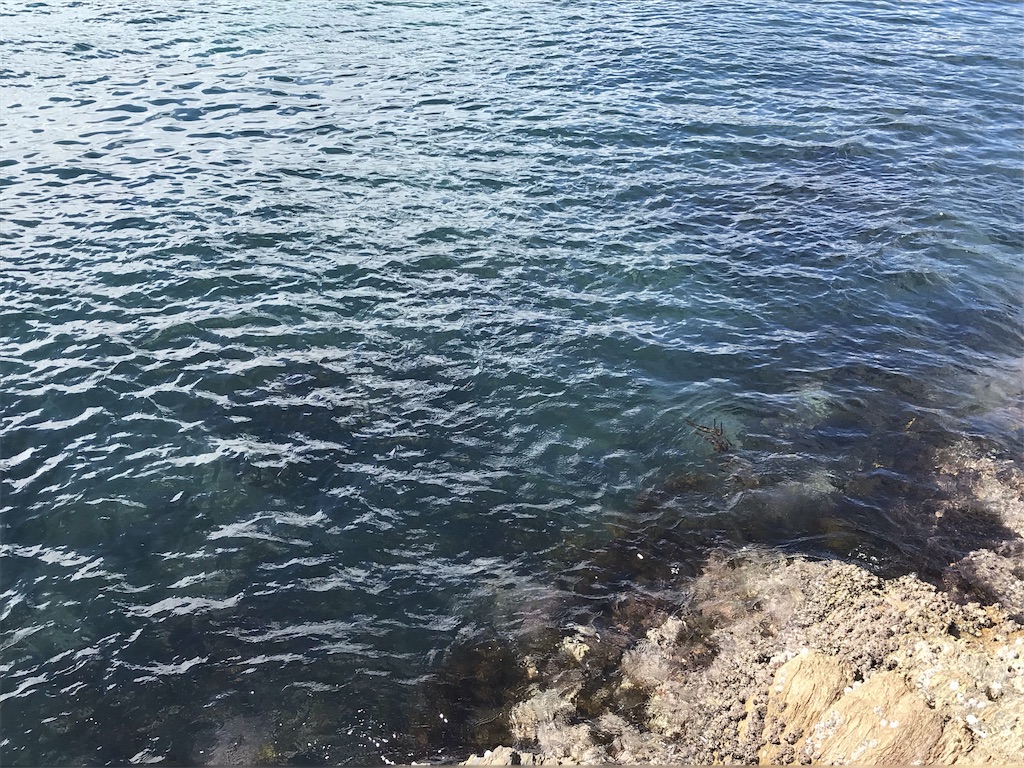 f:id:esojima3:20190923135840j:image