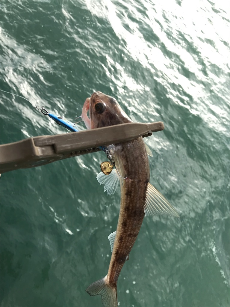 f:id:esojima3:20190923190643j:image f:id:esojima3:20190923190643j:image