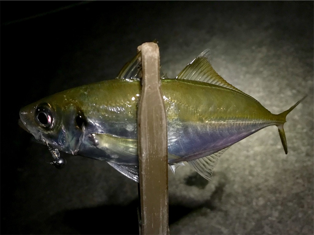 f:id:esojima3:20190924234040j:image
