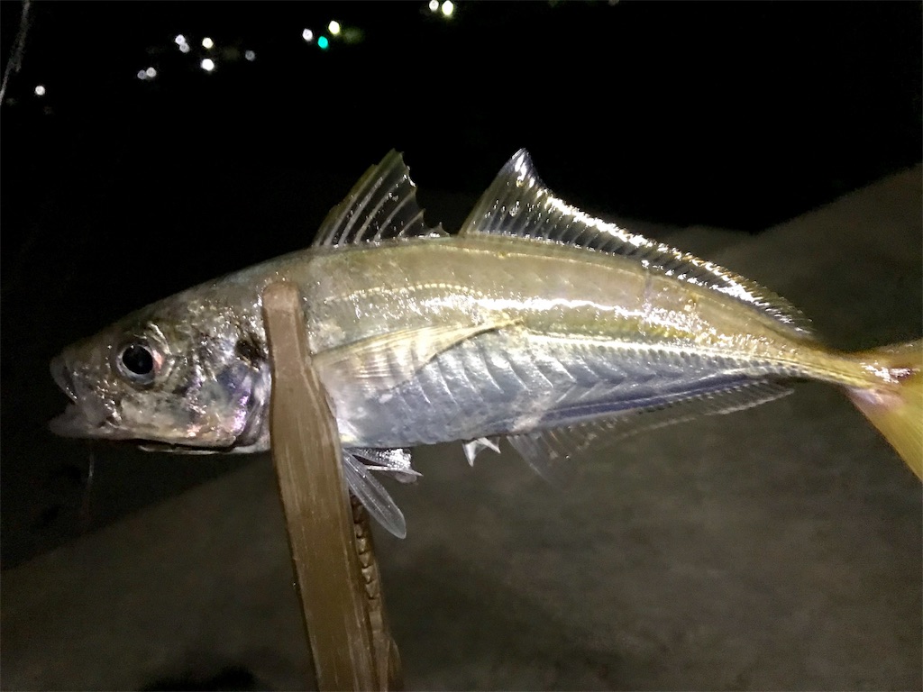 f:id:esojima3:20190924234653j:image