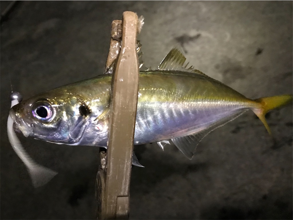 f:id:esojima3:20190924235039j:image