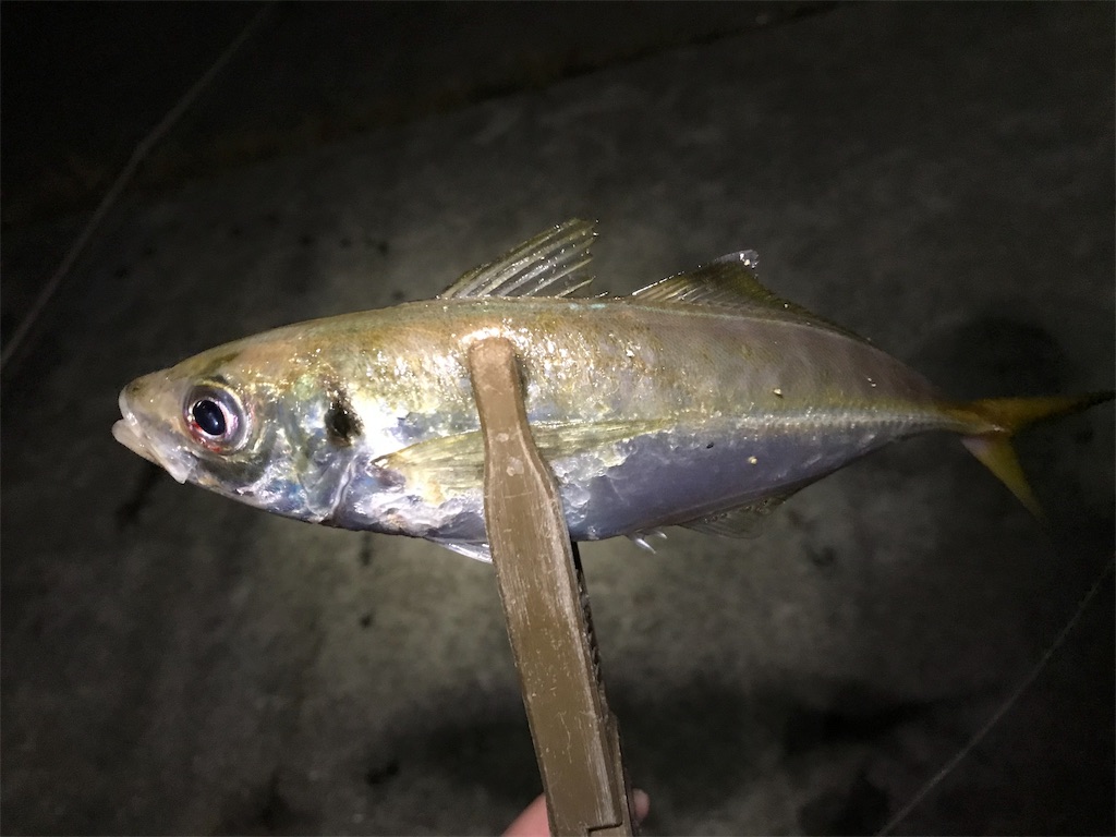 f:id:esojima3:20190925224740j:image