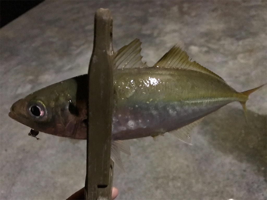 f:id:esojima3:20190925225352j:image