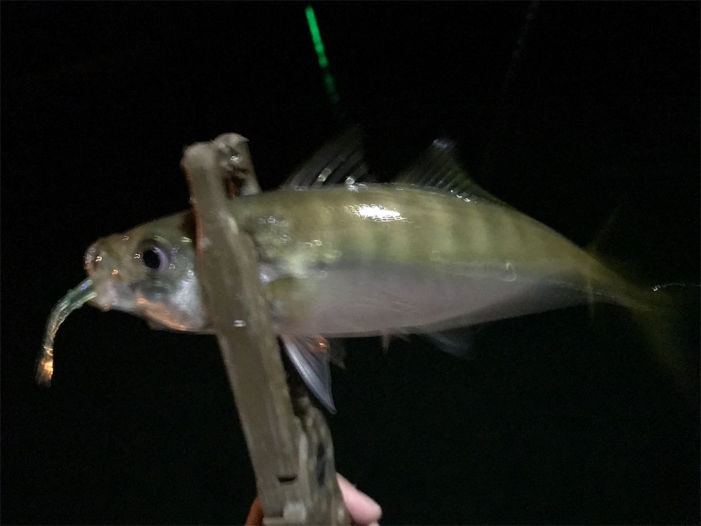 f:id:esojima3:20190925225356j:image