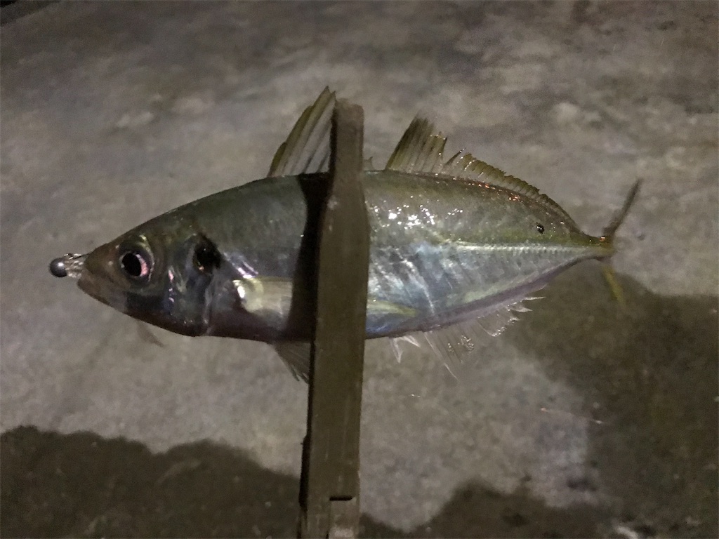 f:id:esojima3:20190925225401j:image