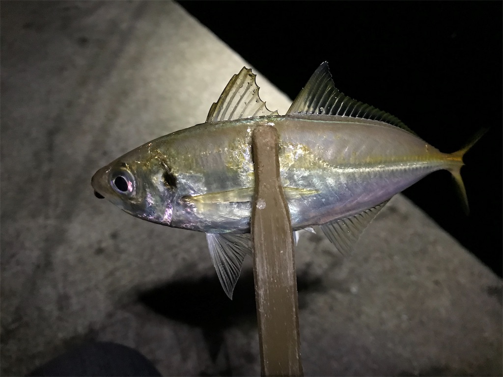 f:id:esojima3:20190925225405j:image