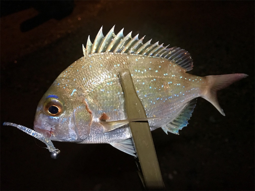 f:id:esojima3:20190925231359j:image