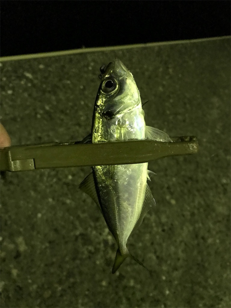 f:id:esojima3:20190925232324j:image