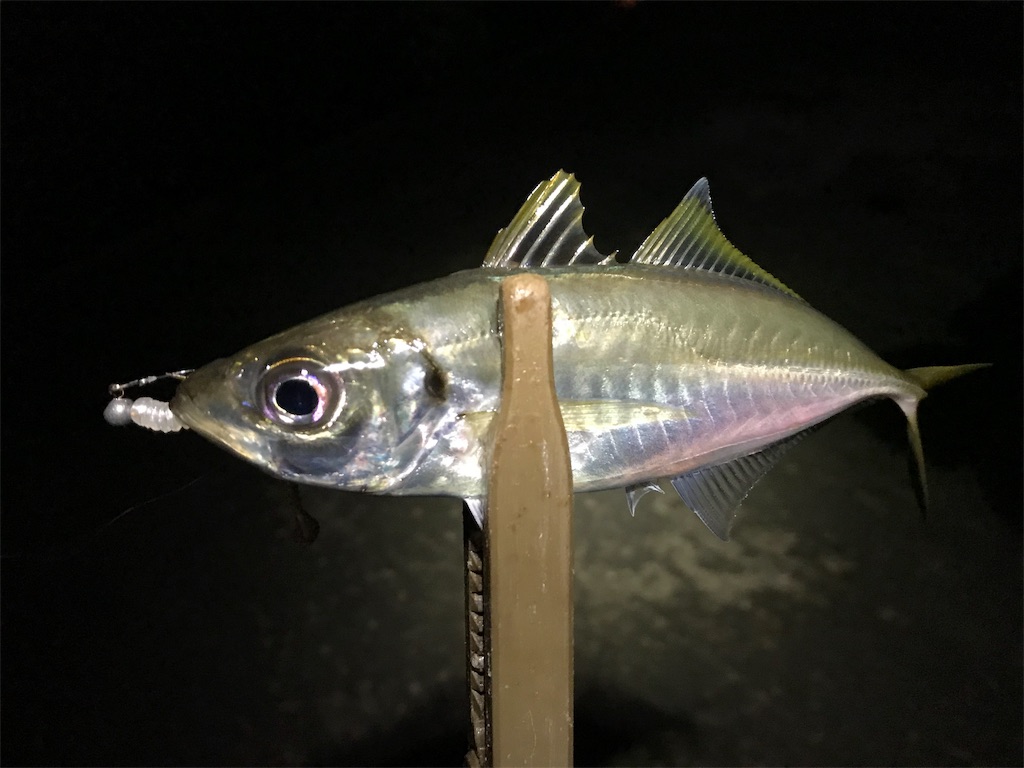 f:id:esojima3:20190926232154j:image