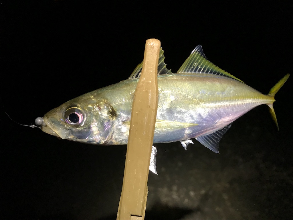 f:id:esojima3:20190926232433j:image