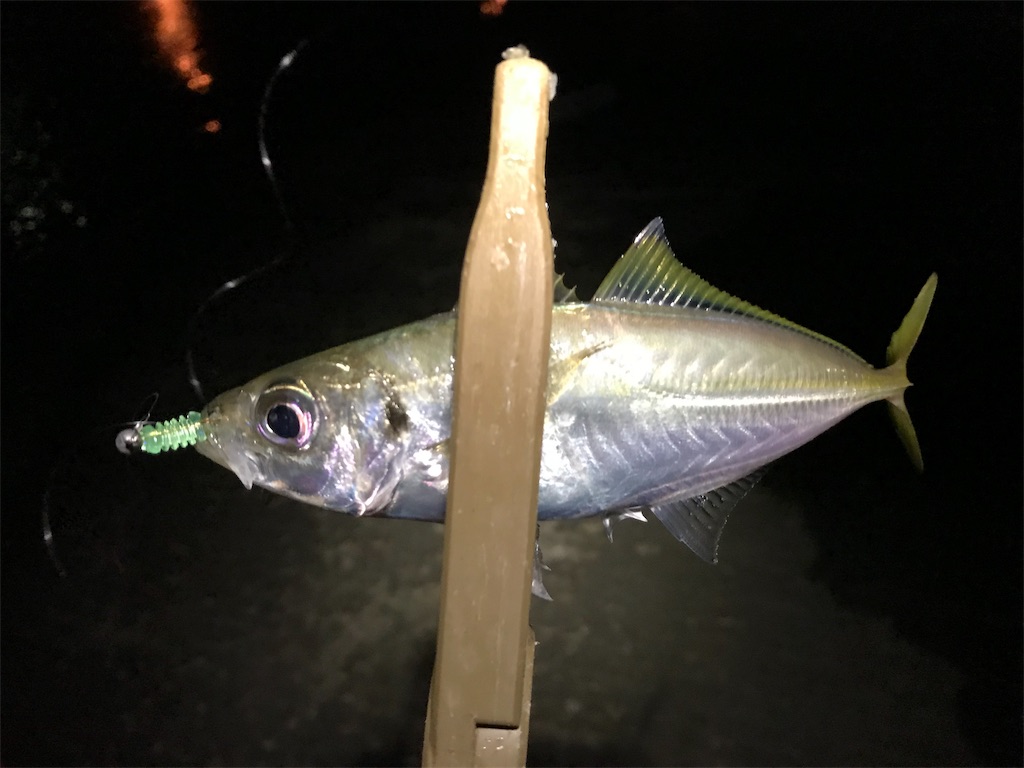 f:id:esojima3:20190926232438j:image