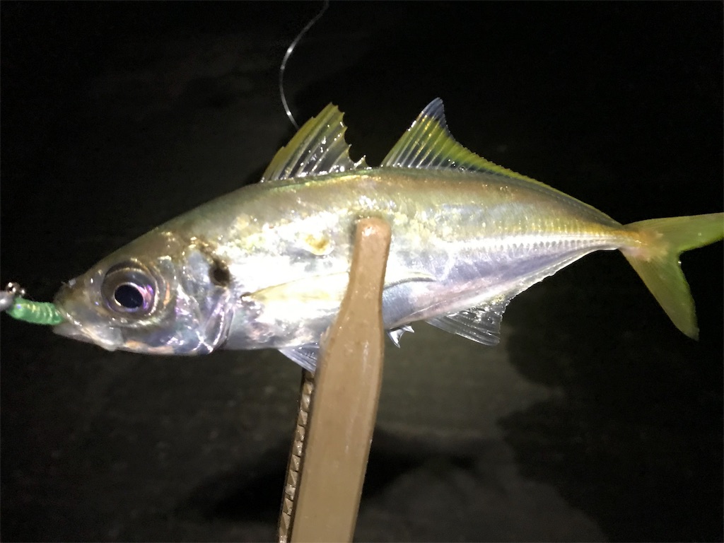 f:id:esojima3:20190926232637j:image