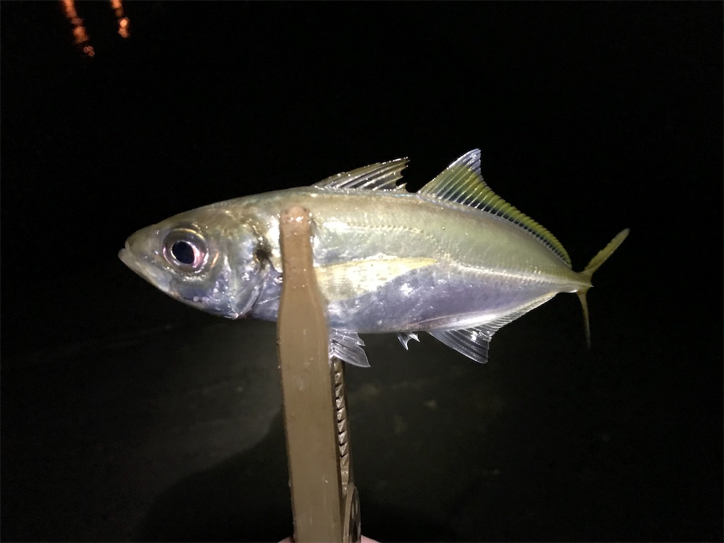 f:id:esojima3:20190926232640j:image