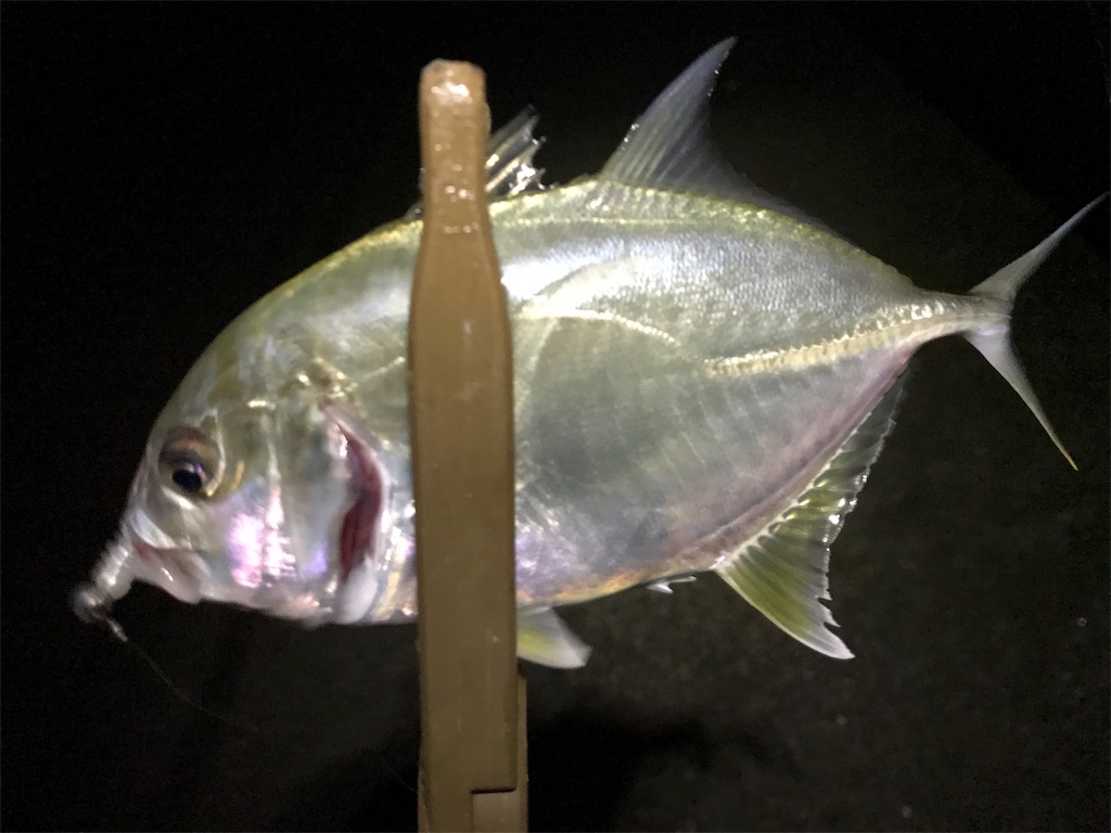 f:id:esojima3:20190926232844j:image