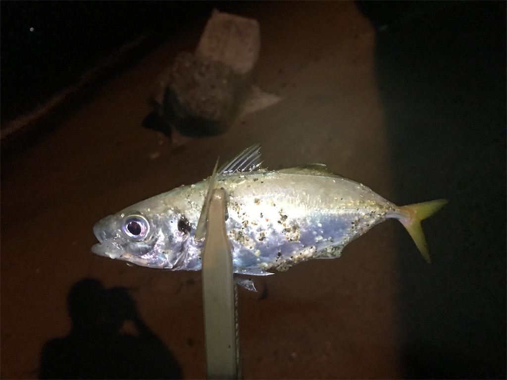 f:id:esojima3:20190929073016j:image