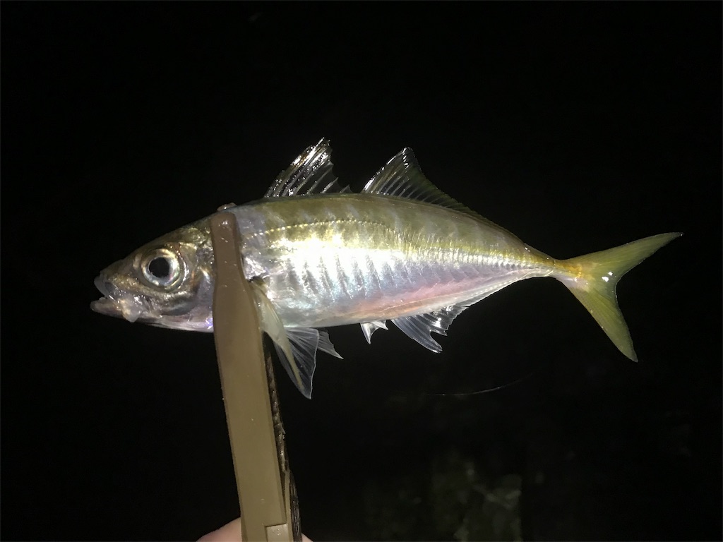 f:id:esojima3:20190929075010j:image