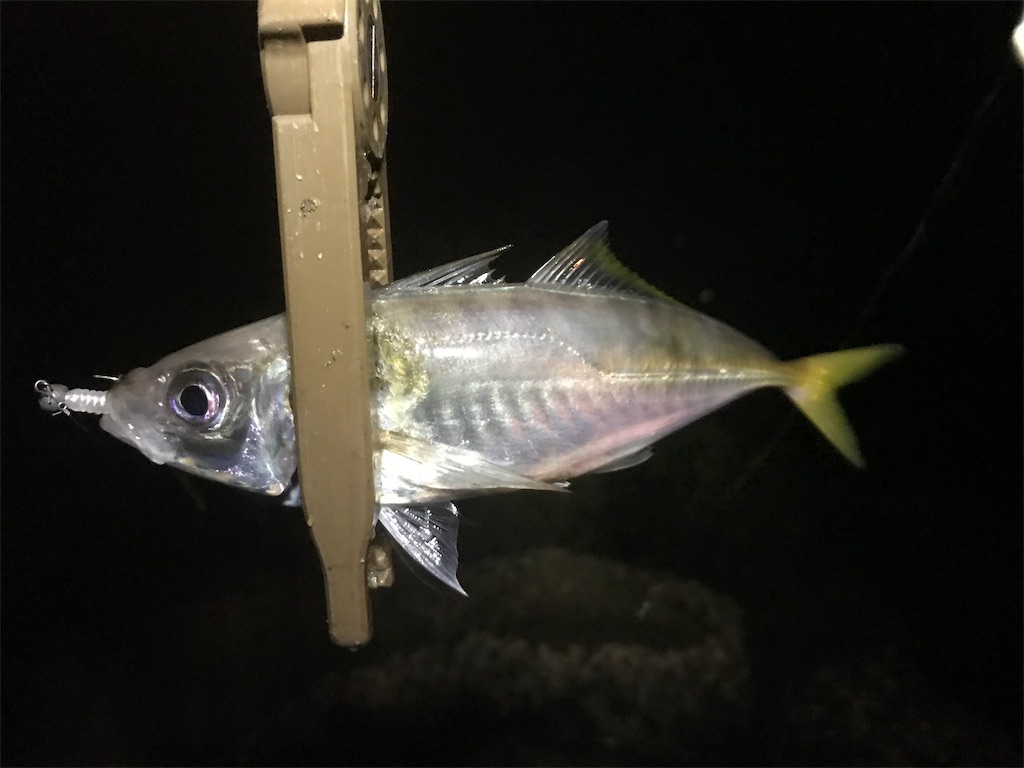 f:id:esojima3:20190929075750j:image