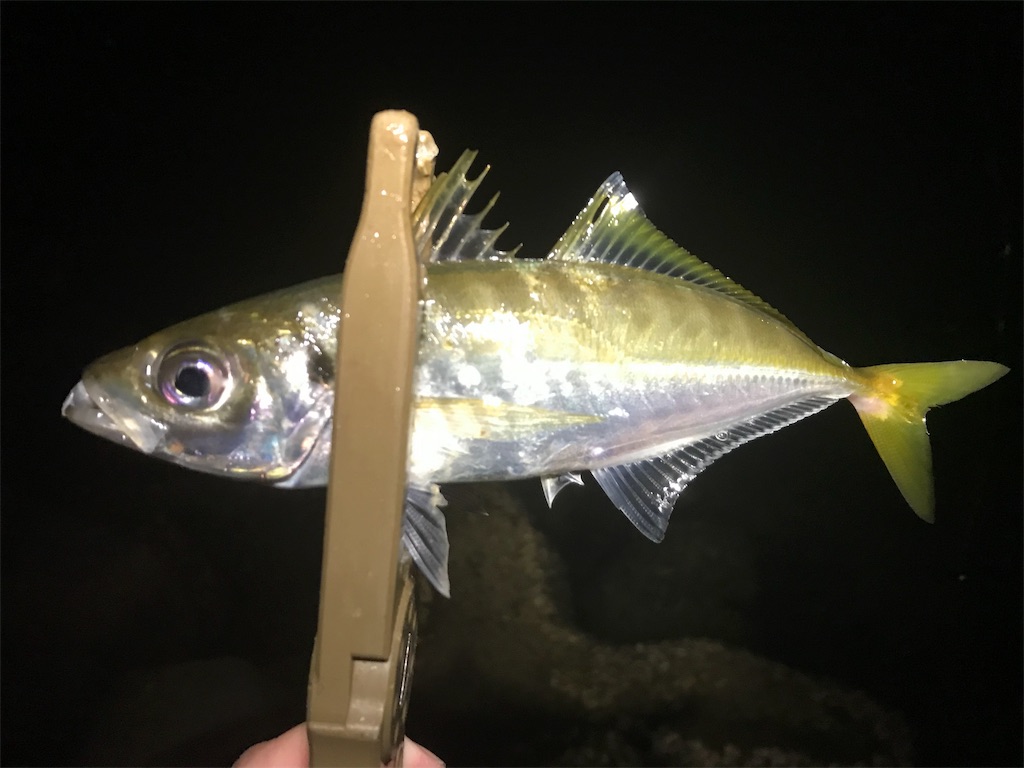 f:id:esojima3:20190929075813j:image