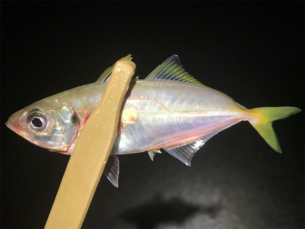 f:id:esojima3:20190929080003j:image