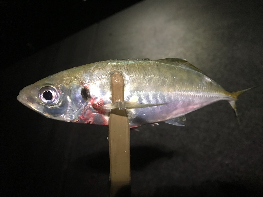 f:id:esojima3:20190929080231j:image