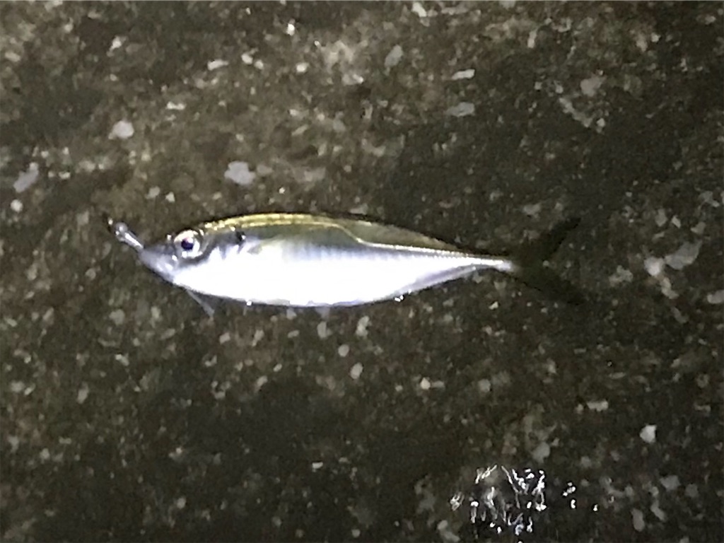 f:id:esojima3:20190930234515j:image