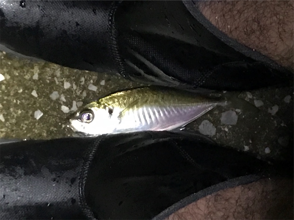 f:id:esojima3:20190930234519j:image