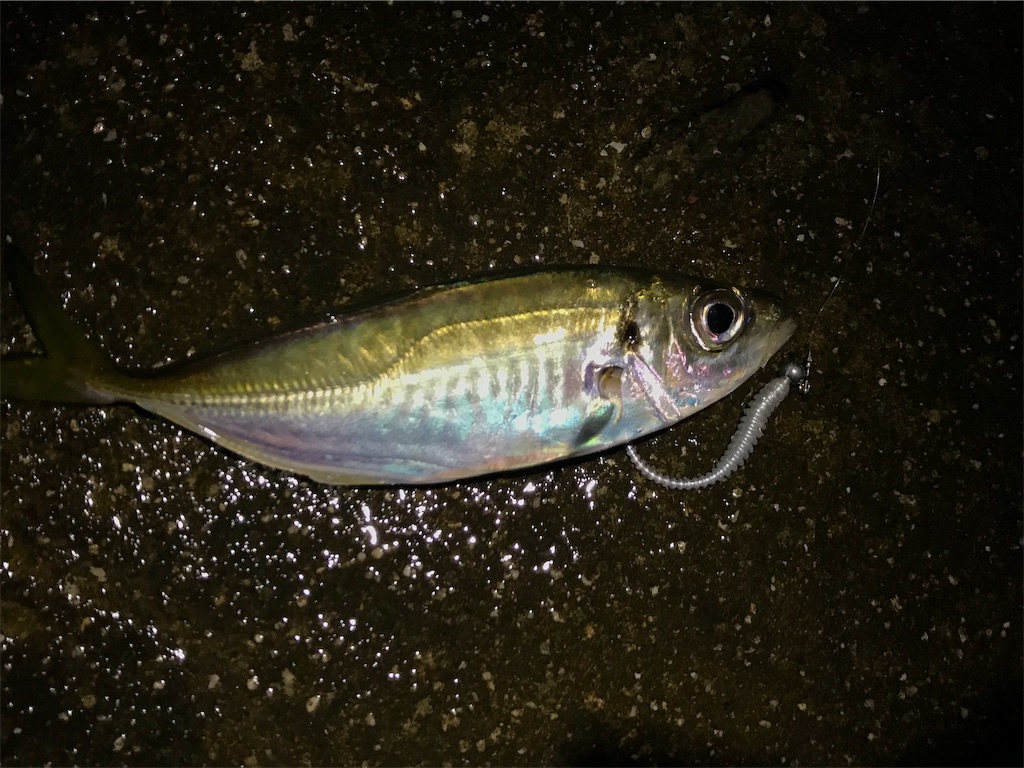 f:id:esojima3:20190930234757j:image