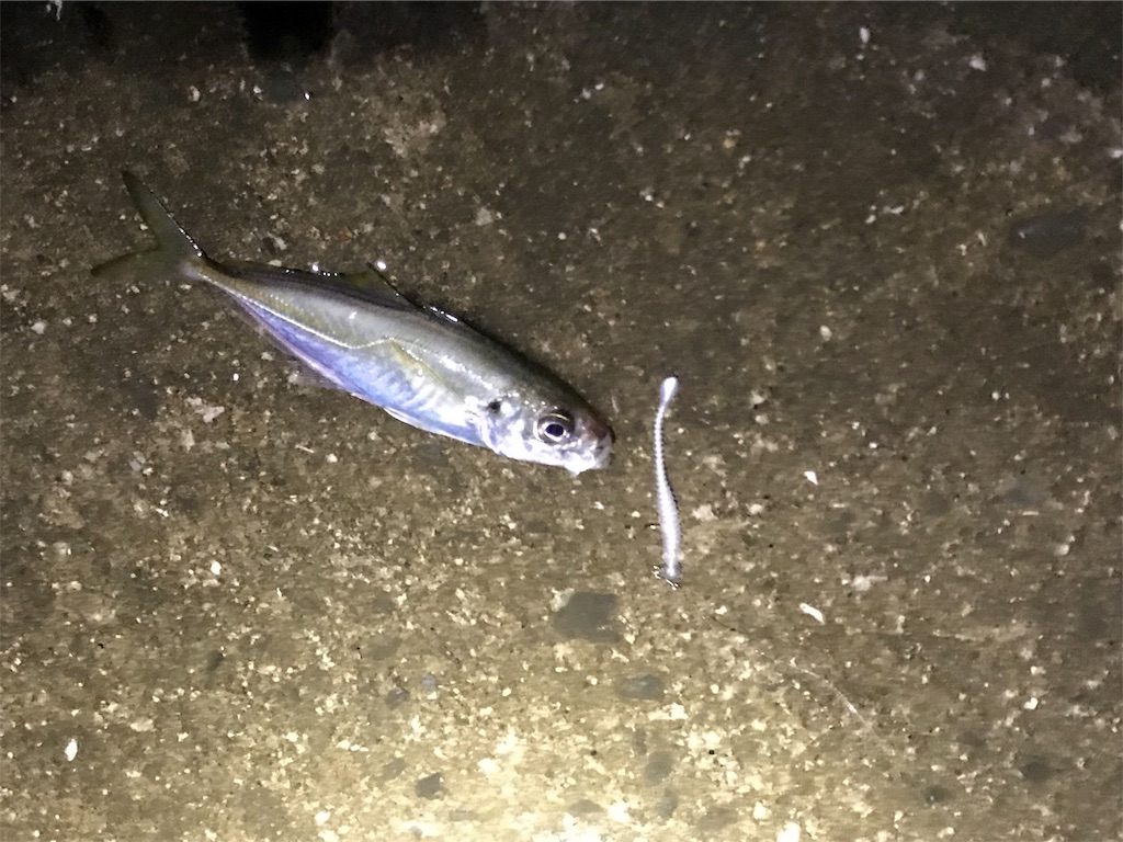 f:id:esojima3:20190930235121j:image