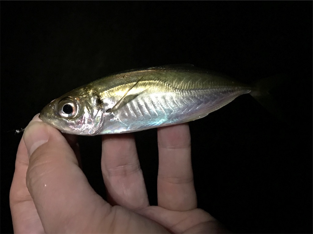 f:id:esojima3:20190930235203j:image