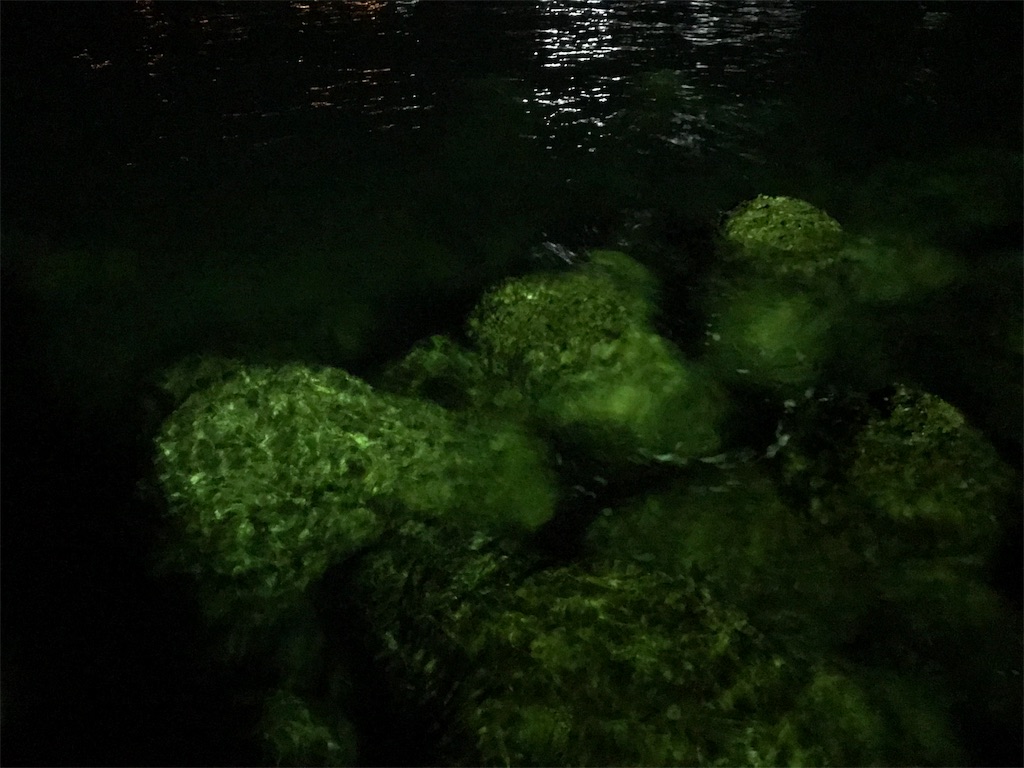 f:id:esojima3:20191007225508j:image
