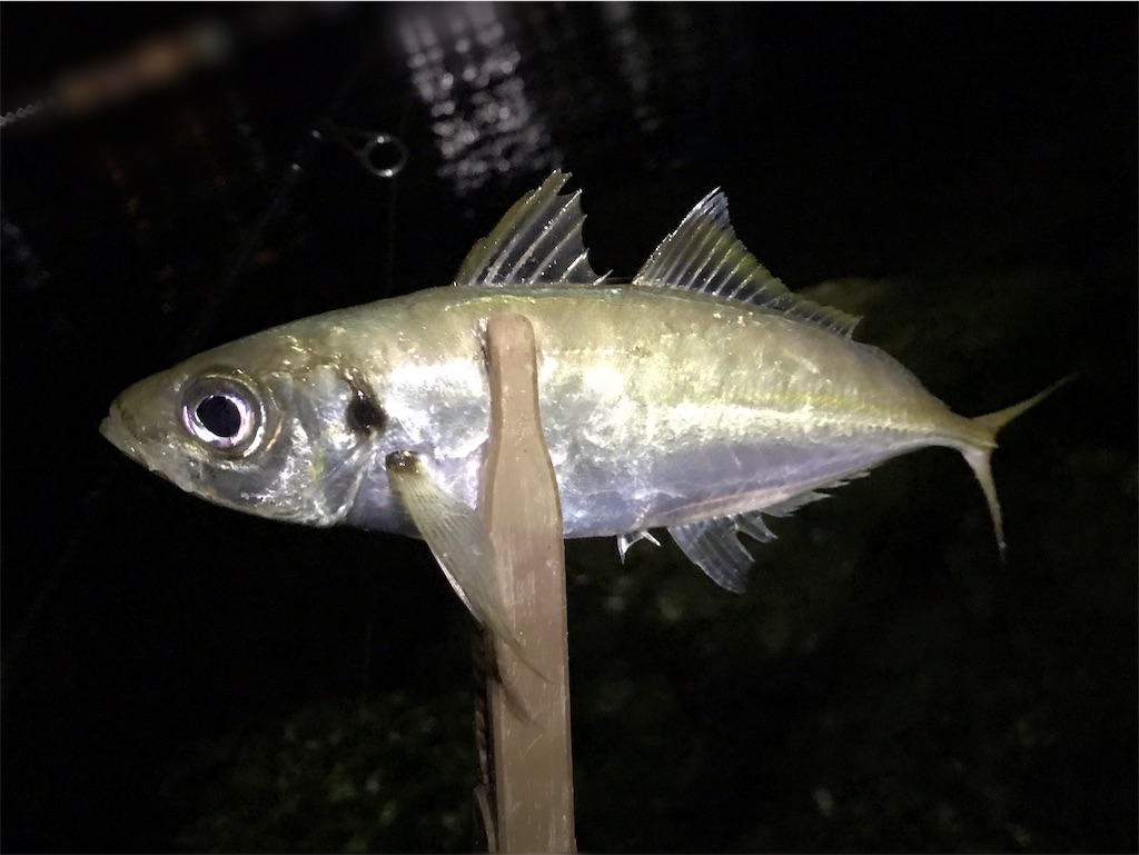 f:id:esojima3:20191007225627j:image