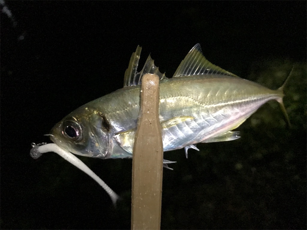 f:id:esojima3:20191007225651j:image