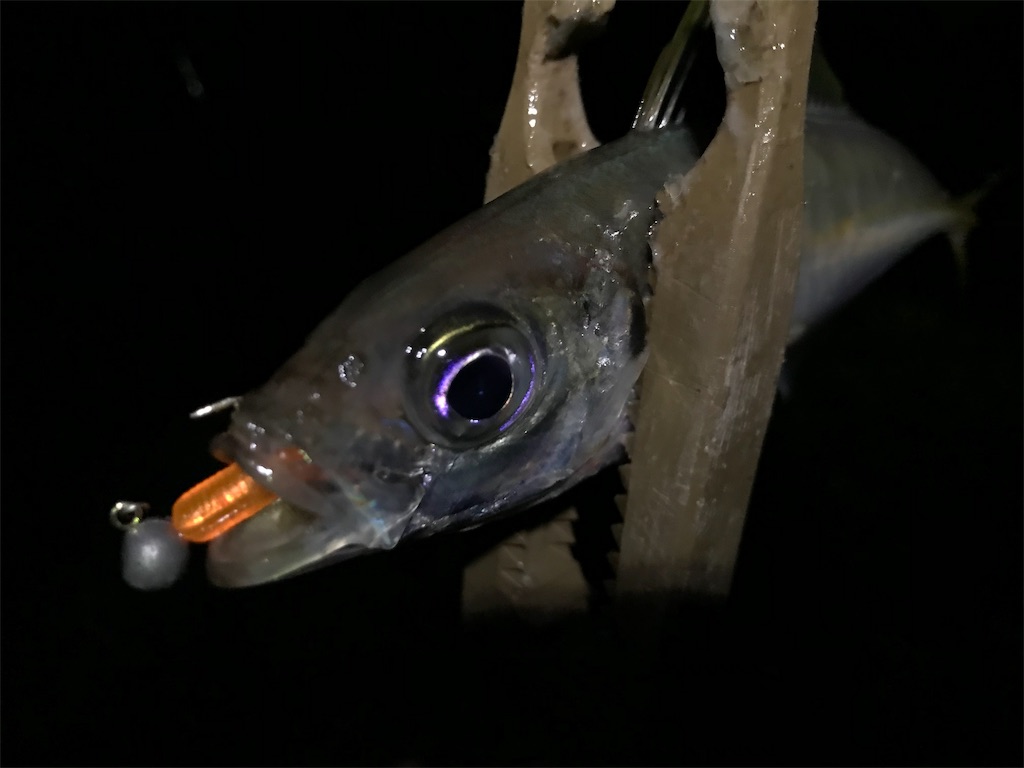 f:id:esojima3:20191007225655j:image