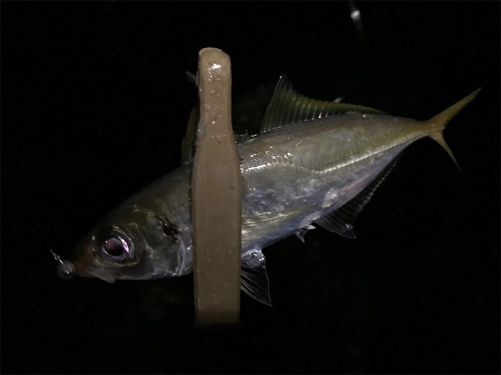 f:id:esojima3:20191007225658j:image