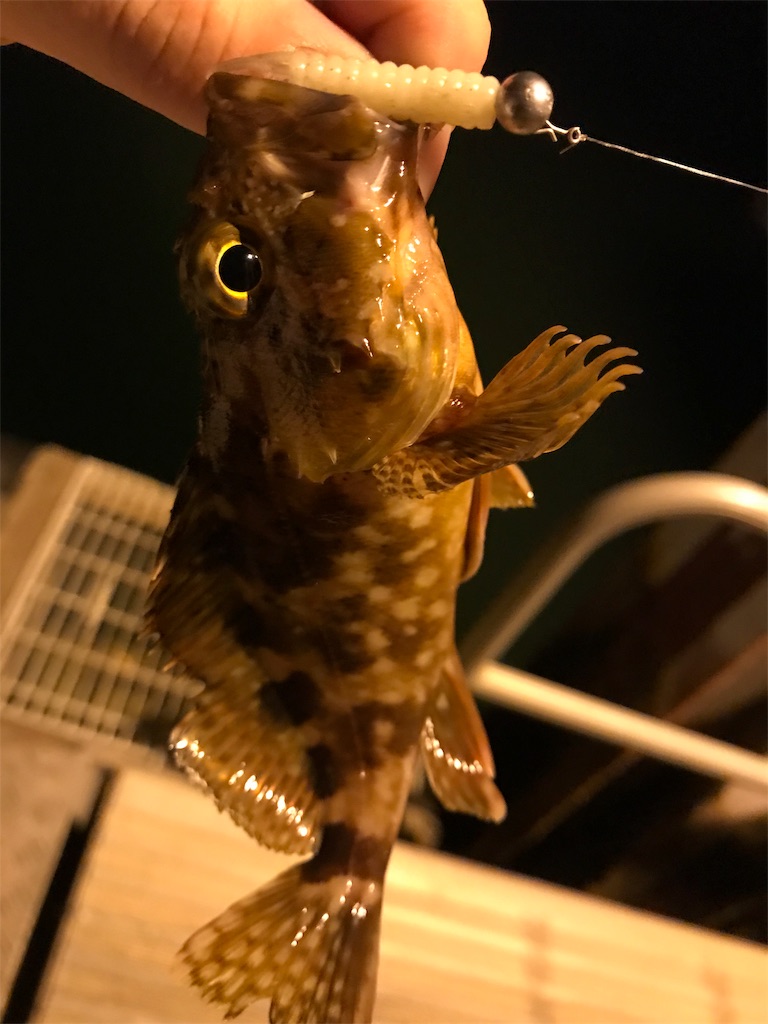f:id:esojima3:20191007230326j:image