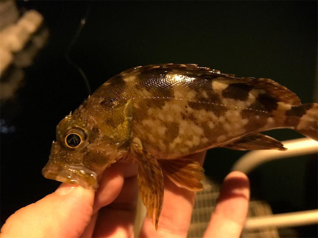 f:id:esojima3:20191007230331j:image