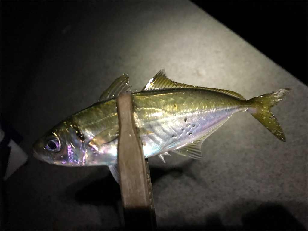 f:id:esojima3:20191104031754j:image