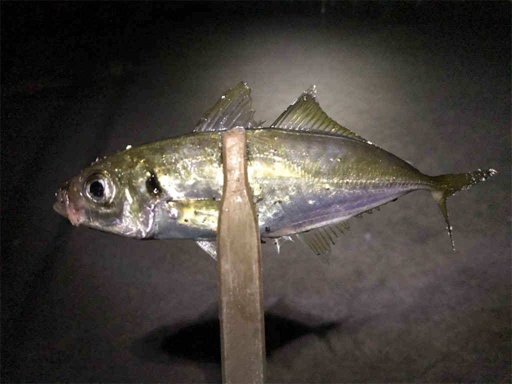 f:id:esojima3:20191104031759j:image