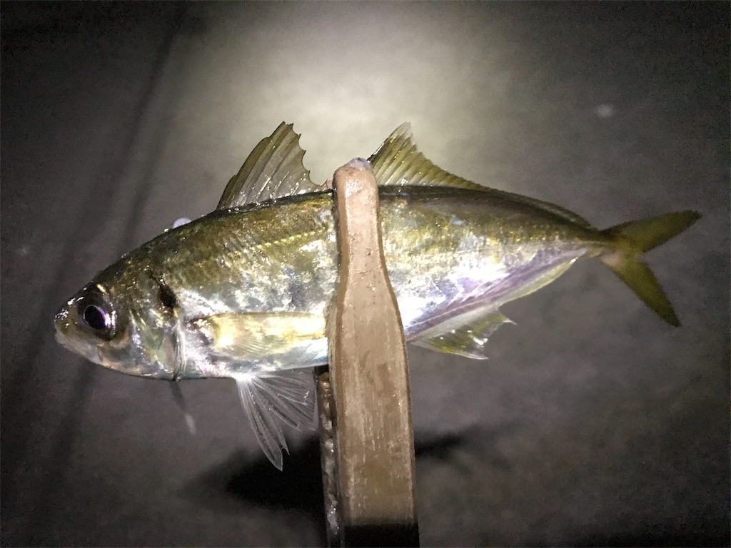 f:id:esojima3:20191104031802j:image