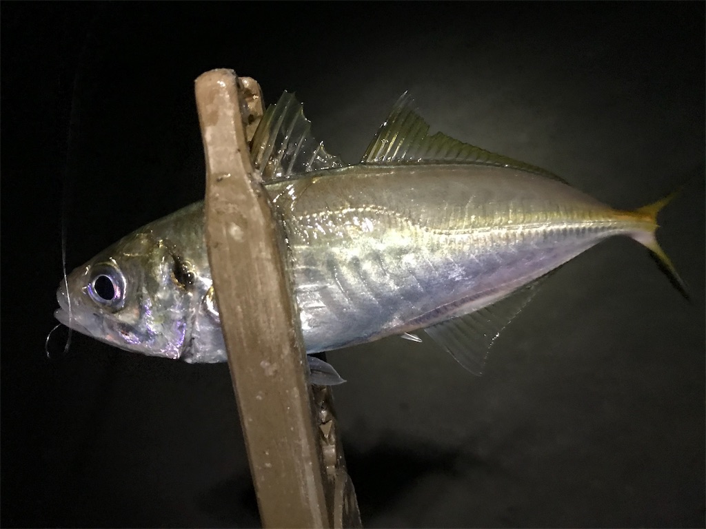 f:id:esojima3:20191104032056j:image