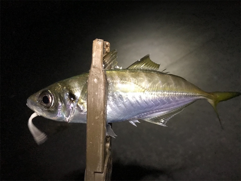 f:id:esojima3:20191104032100j:image