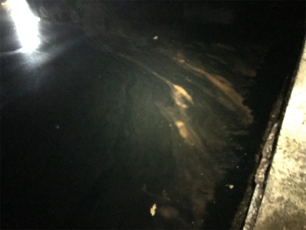 f:id:esojima3:20191105233007j:image