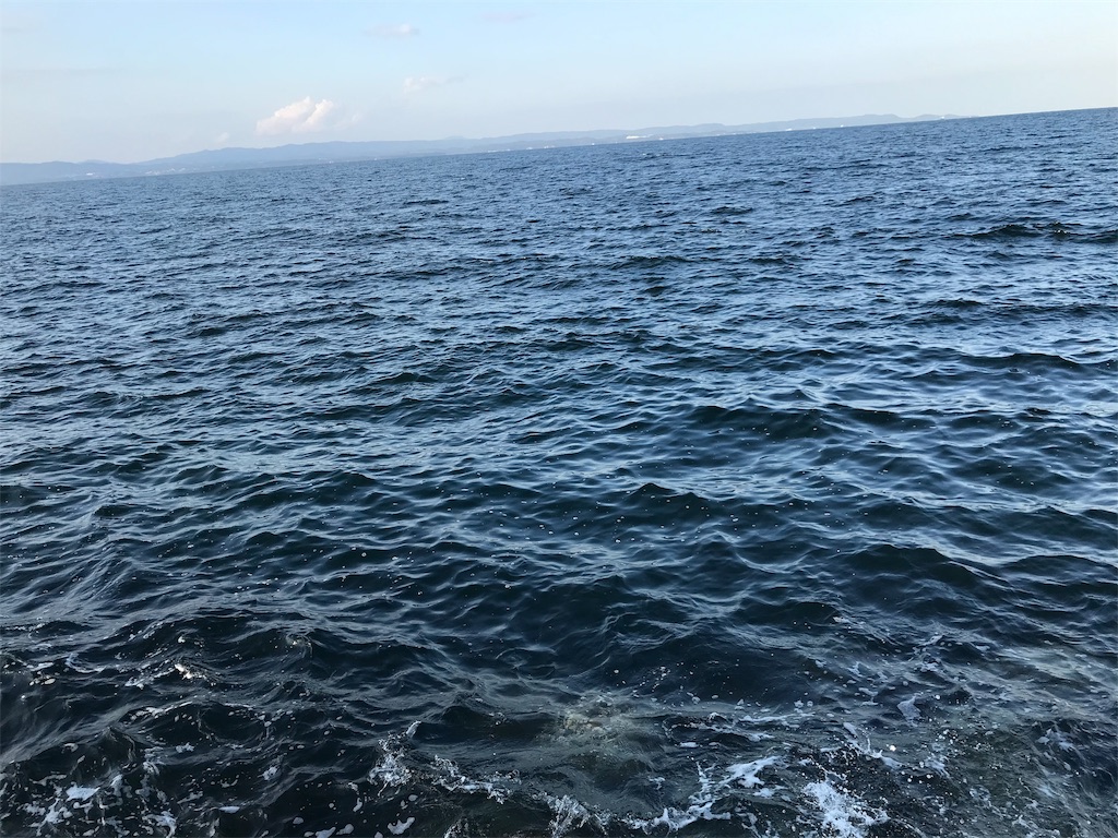 f:id:esojima3:20191108184730j:image
