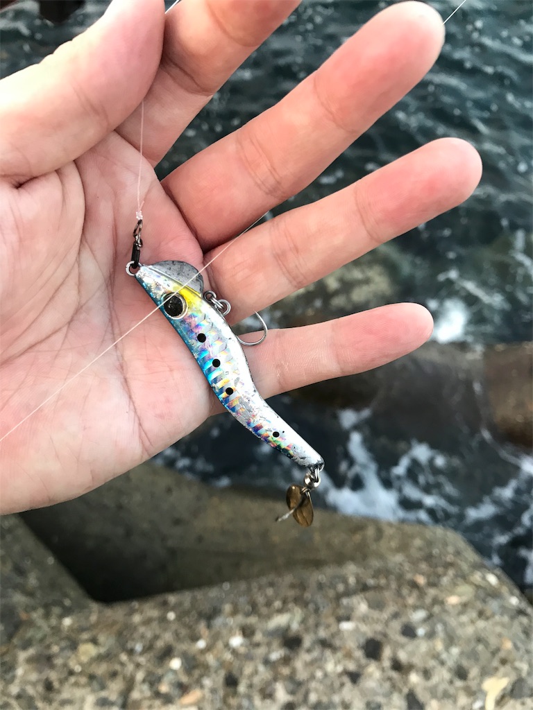 f:id:esojima3:20191108184806j:image