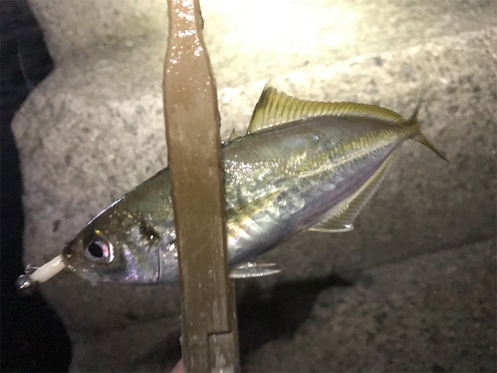 f:id:esojima3:20191111212102j:image