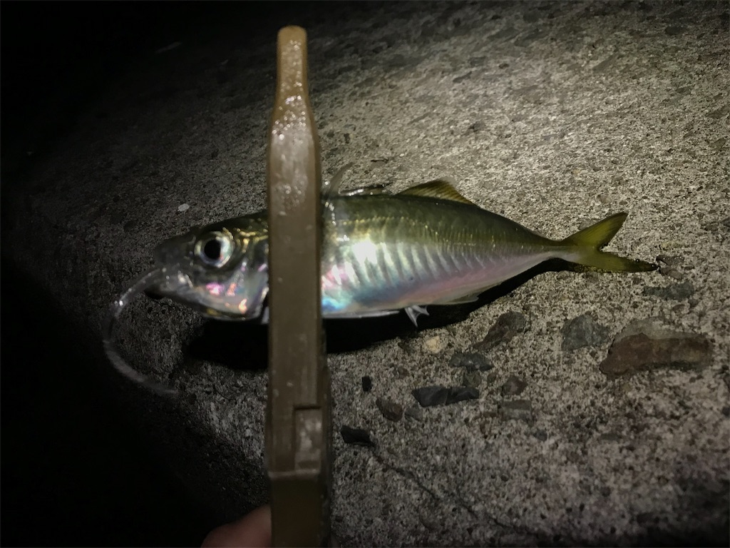 f:id:esojima3:20191111212822j:image
